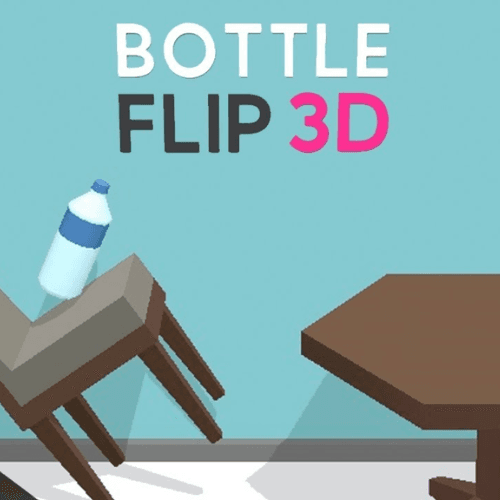 Bottle Flip