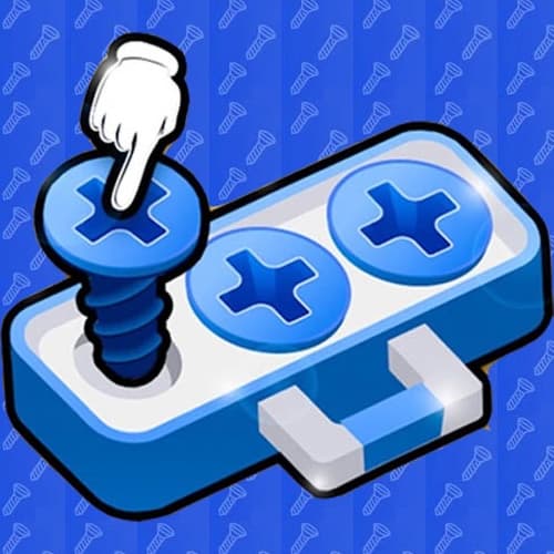 Screw Jam Fun Puzzle